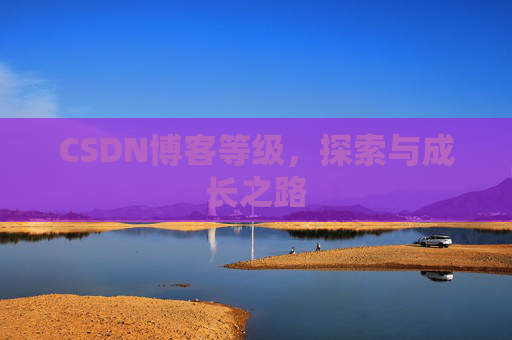 CSDN博客等级，探索与成长之路